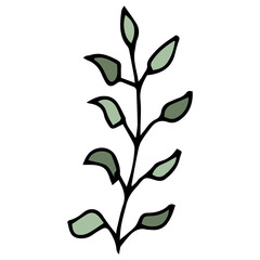 Doodle twig and green leaves. Black outline. Vector plants illustration. White background. Summer and spring greenery.