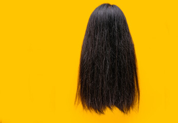 Damaged hair isolated on yellow background. Dry and brittle hair problem. Black long hair with dry texture. Asian woman with weak and brittle hair need treatment conditioner and spa. Unhealthy hair. - obrazy, fototapety, plakaty