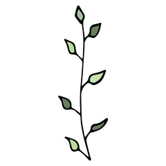 Doodle twig and green leaves. Black outline. Vector plants illustration. White background. Summer and spring greenery.