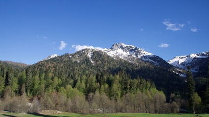 landscape in the mountains