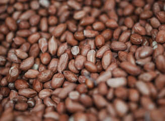 lots of dried fruits and nuts, delicious healthy food