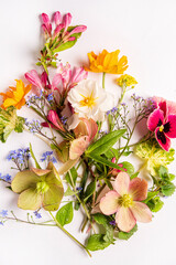 spring flowers on the white background