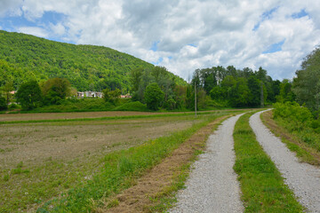 The late May landscape near the village of Cemur in Udine Province, Friuli-Venezia Giulia, north east Italy
