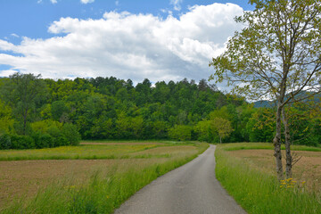 Fototapeta na wymiar The late May landscape near the village of Merso di Sopra in Udine Province, Friuli-Venezia Giulia, north east Italy 