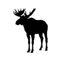 vector illustration of a moose silhouette isolated on white background