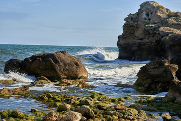 Fototapeta premium Seascape with rocky coast in summer on a sunny day