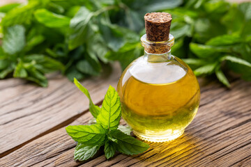 Glass bottle of peppermint essential oil with fresh green mint leaves, mint oil