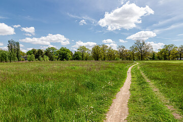 Fototapeta na wymiar Lane in meadow and deep blue sky. Nature design.
