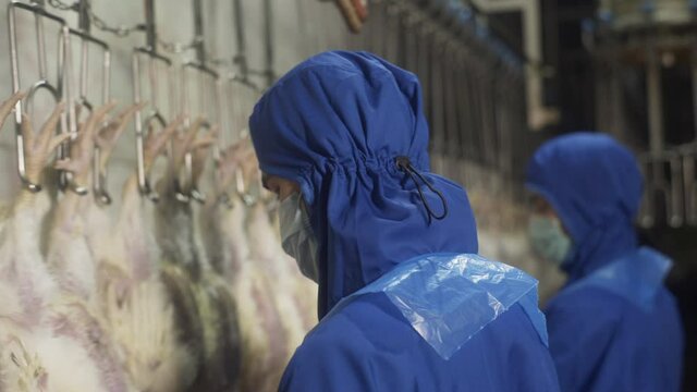 Muslim men in masks work in halal chicken meat industry. Poultry processing industry. Halal Raw chicken meat production line. Poultry processing plant. Conveyor belt for food factory.