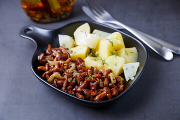 Chanterelle mushrooms with boiled potatoes, onions, dill and oil in a small black pan. Traditional Russian dish. Black background, close-up, camera zoom.