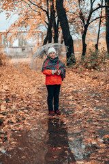 Adult woman in warm clothes with transparent umbrella walks through the forest. Beautiful autumn...