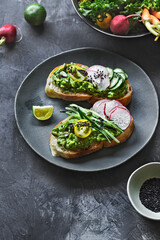 Mashed Avocado with Cucumber Radish and Tomato on Toasts