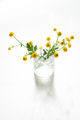Small yellow buttercups flowers in glass vase