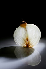Slice of white onion on a black background with a beautiful back light.
