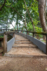 bridge