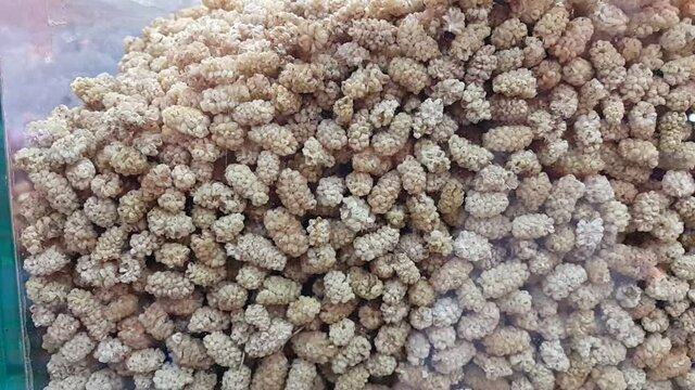 dried white mulberry in display case