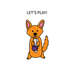 corgi wants to play
