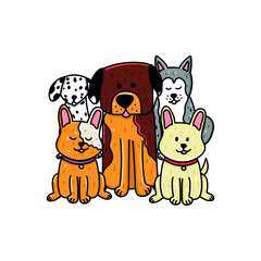 set of dogs of various breeds