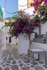 Traditional Cycladitic alley with a  narrow street, whitewashed facade of a house and a blooming bougainvillea in Naousa  Paros island, Greece.
