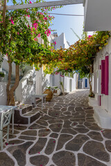 Obraz premium Traditional Cycladitic alley with a narrow street, whitewashed facade of a house and a blooming bougainvillea in Naousa Paros island, Greece.