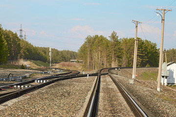 Fototapeta na wymiar The railway passes through a pine forest. Fork in the railway tracks