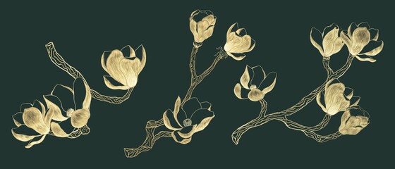 Set of illustration of branches with magnolia flowers, hatching, golden lina, decorative elements © Александра Уткаева