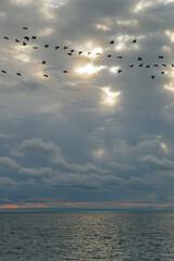 Calm sea and blue sky with white cirrus clouds. The sun shines through the clouds.