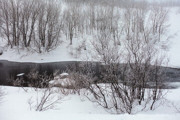 Whinter river in snow, branch in hoar