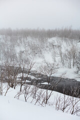 Whinter river in snow, branch in hoar