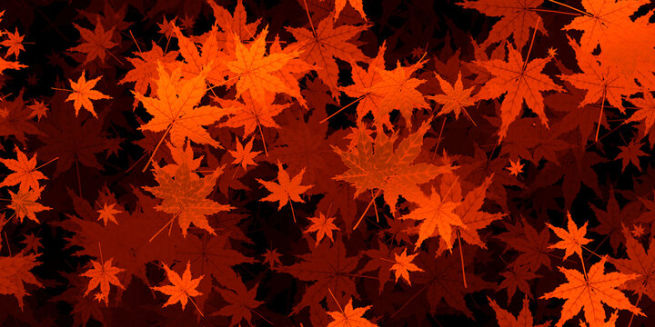 秋の紅葉背景素材