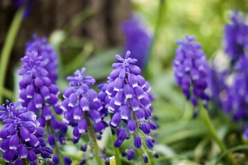 道端で見つけた