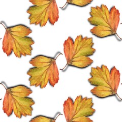 Watercolor autumn leaves on a white background. Seamless Pattern