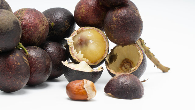 71 BEST Pometia IMAGES, STOCK PHOTOS u0026 VECTORS  Adobe Stock