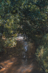 Rivière - France - Tarn