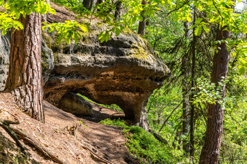 Unique eroded sandstone rock formation in Kokorin Protected Area, Czech Republic