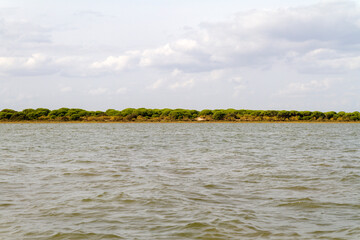 Playa o Beach en El Rompido, Cartaya, Huelva, Andalucia, Andalusia, España, Spain