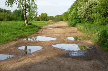 Suburban dirt road with pits and puddles. Dense grass, bushes and trees grow along the road.