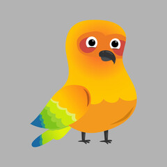 A sunconure parrot cute vector 