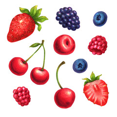 Hand drawn isolated illustrations of berries (strawberry, cherry, blueberry, raspberry) on white background for graphic and web design, poster, card, book, decoration, package