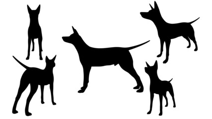 set of Dogs vector silhouette illustration isolated on white background