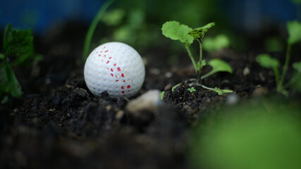 golf ball soft focus on deep bokeh  green background