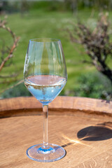 Wine production in Netherlands, white wine tasting glass close up