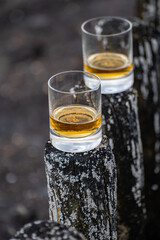 Tasting of dram single malt scotch whisky on seashore in Scotland, old wooden pole with whisky glass
