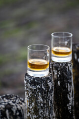 Tasting of dram single malt scotch whisky on seashore in Scotland, old wooden pole with whisky glass