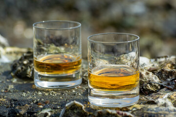 Tasting of single malt or blended Scotch whisky and seabed at low tide with algae, stones and...