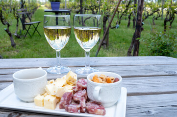 Lunch with Dutch snacks and white wine served outdoor on green meadow with vineyard, wine production in Netherlands