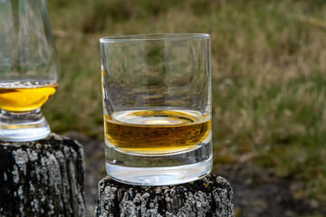 Tasting of dram single malt scotch whisky on seashore in Scotland, old wooden pole with whisky glass