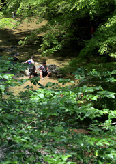 川遊びの子供たち