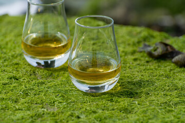 Tasting of single malt or blended Scotch whisky and seabed at low tide with green algae and stones on background, private whisky tours in Scotland, UK