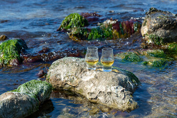 Tasting of single malt or blended Scotch whisky and blue sea with stones and oysters on background, private whisky tours in Scotland, UK